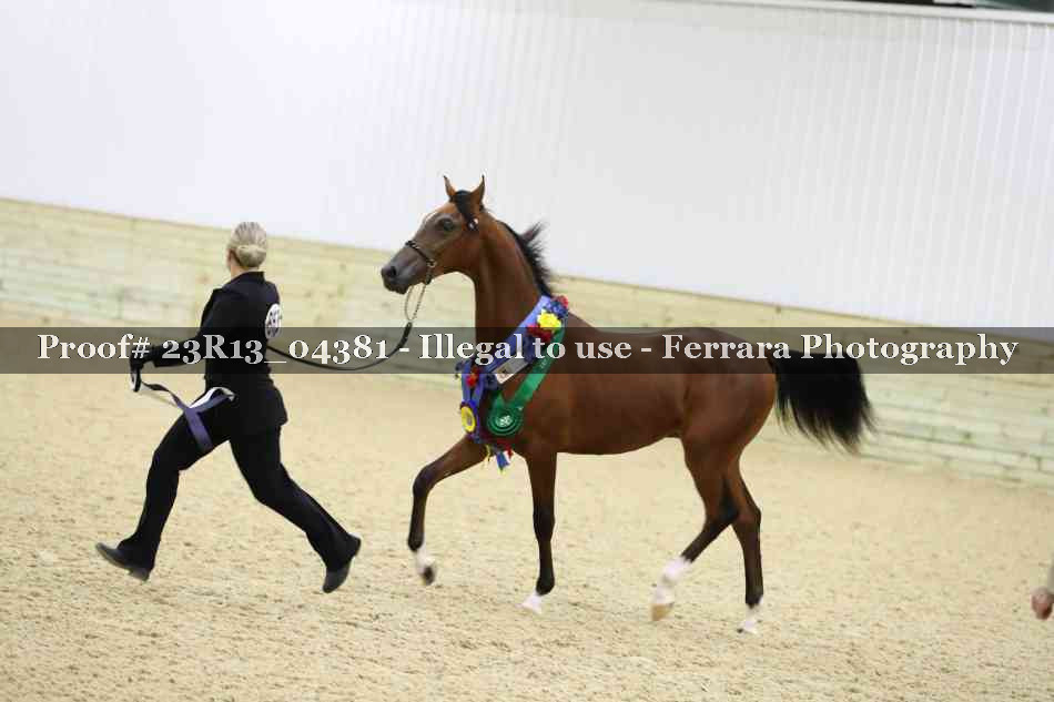 Proof 23R13_04381