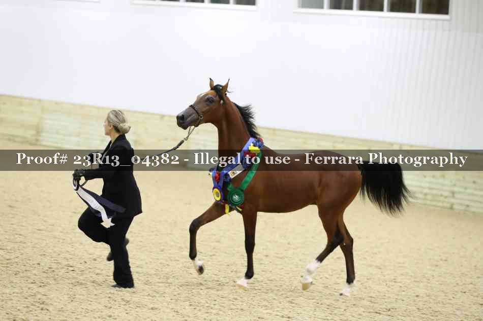 Proof 23R13_04382