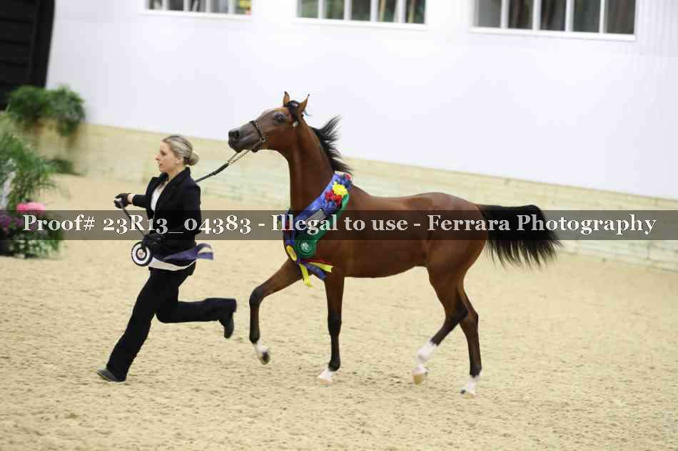 Proof 23R13_04383