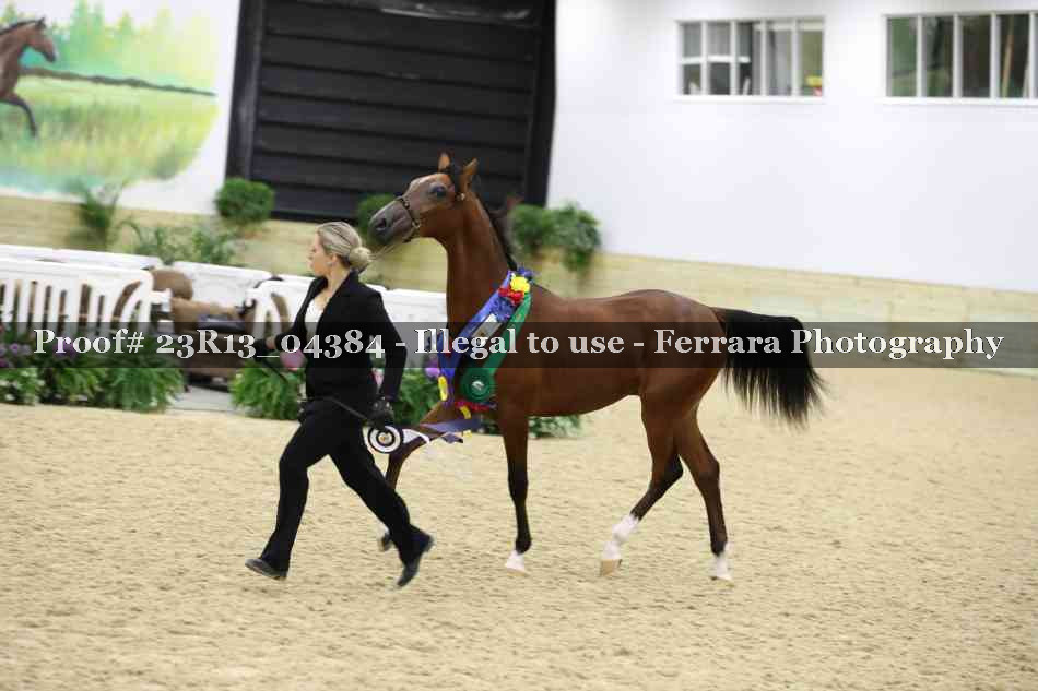 Proof 23R13_04384