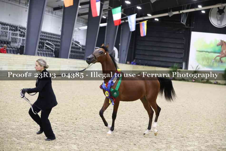 Proof 23R13_04385