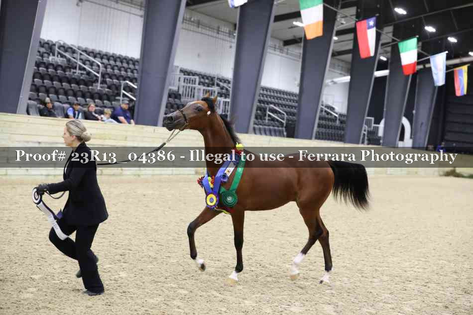 Proof 23R13_04386