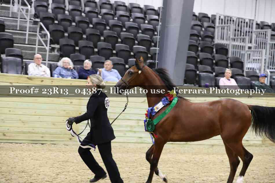 Proof 23R13_04387