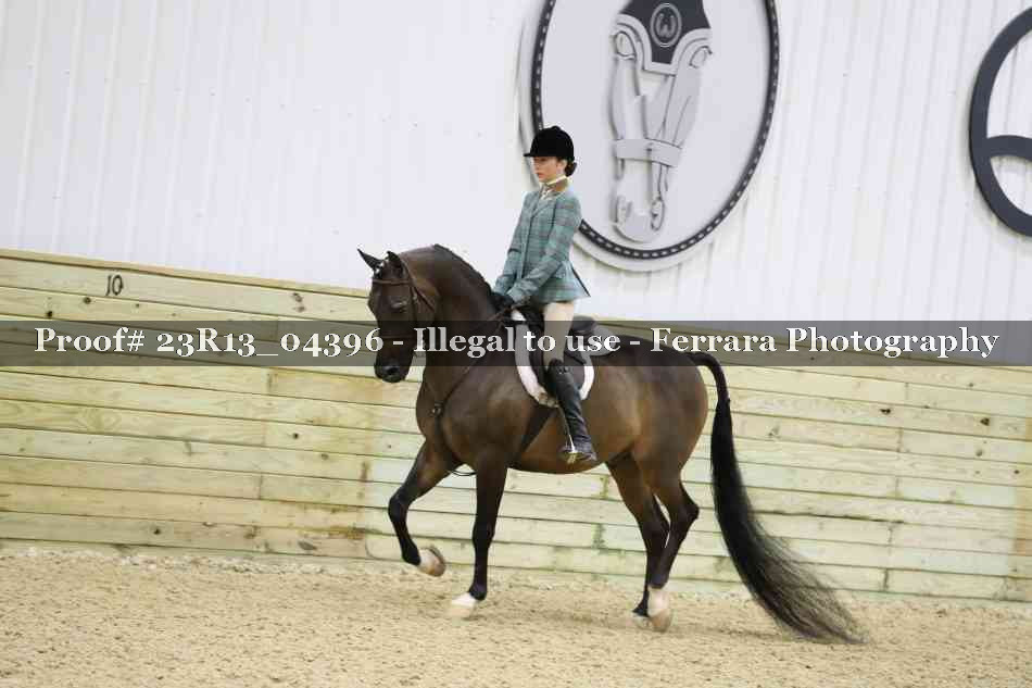 Proof 23R13_04396