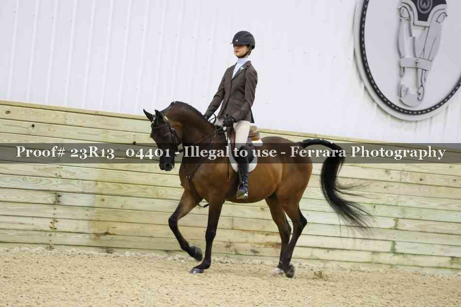 Proof 23R13_04401