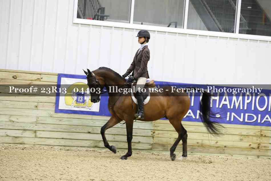 Proof 23R13_04403