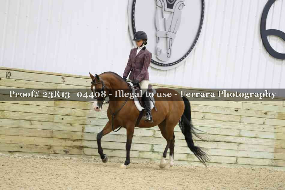 Proof 23R13_04408