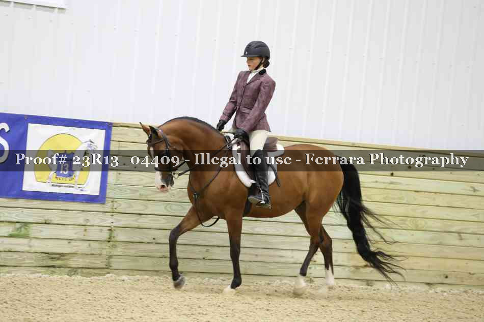 Proof 23R13_04409