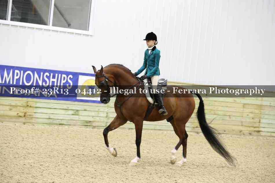 Proof 23R13_04412