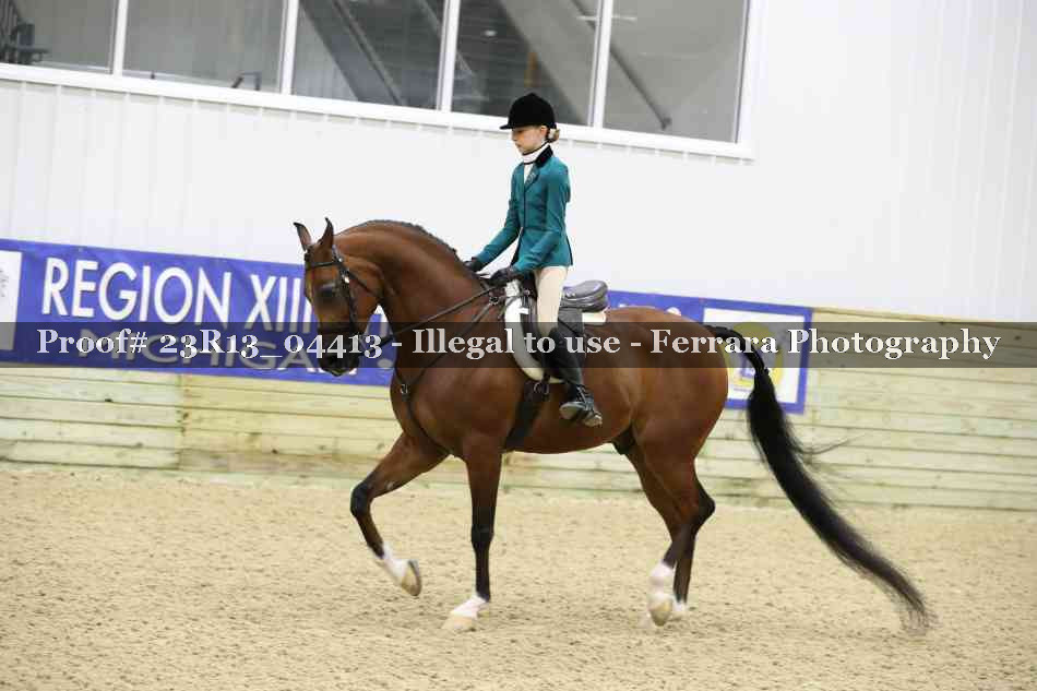 Proof 23R13_04413