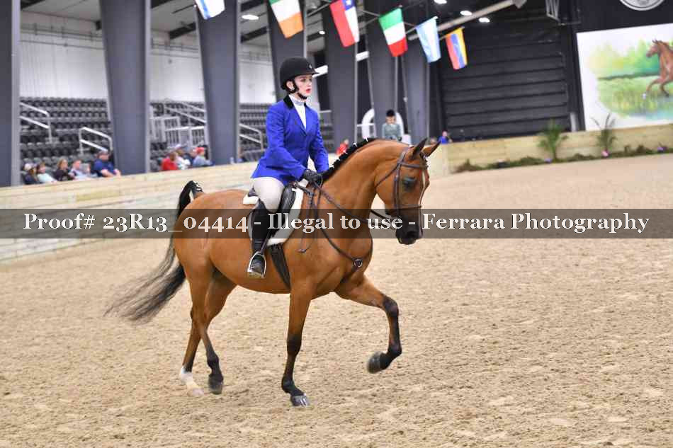 Proof 23R13_04414