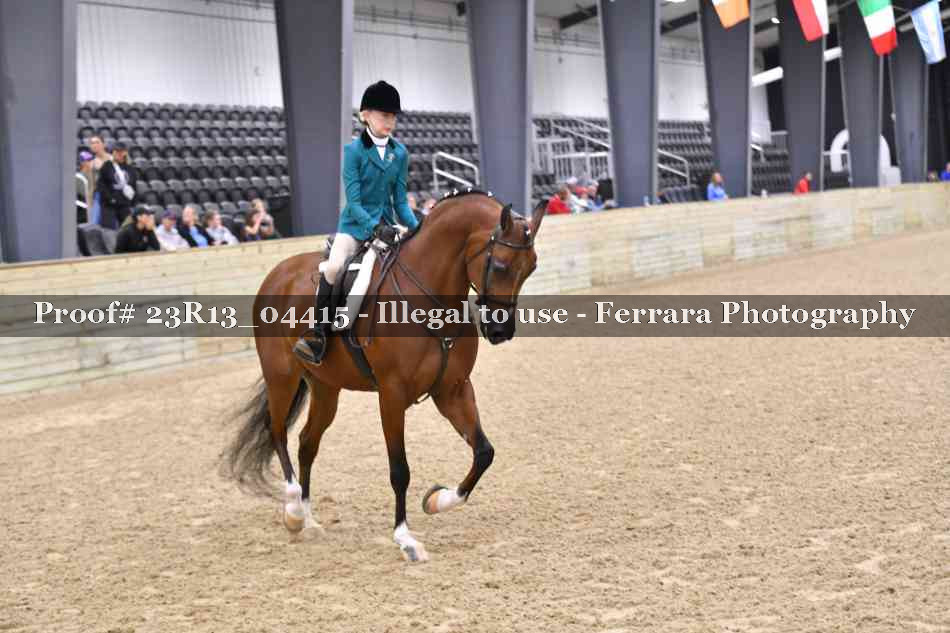 Proof 23R13_04415