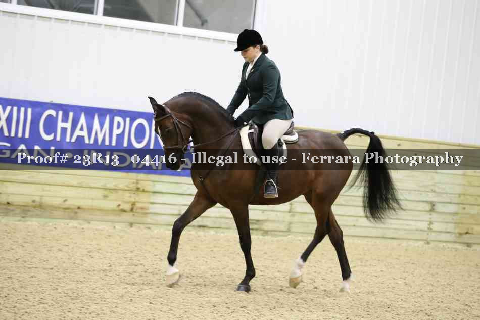 Proof 23R13_04416