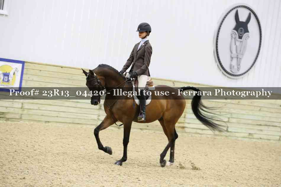 Proof 23R13_04420