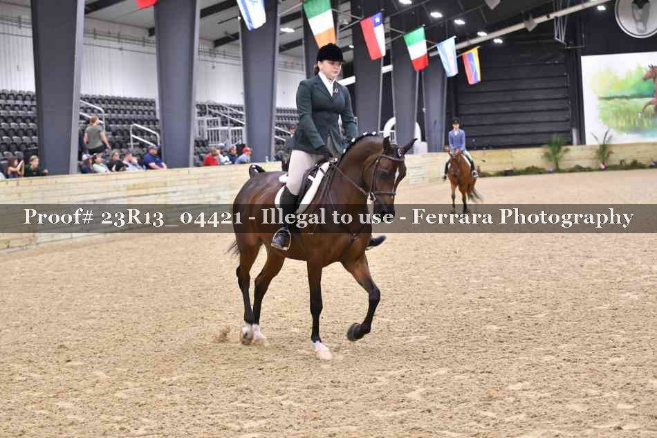 Proof 23R13_04421