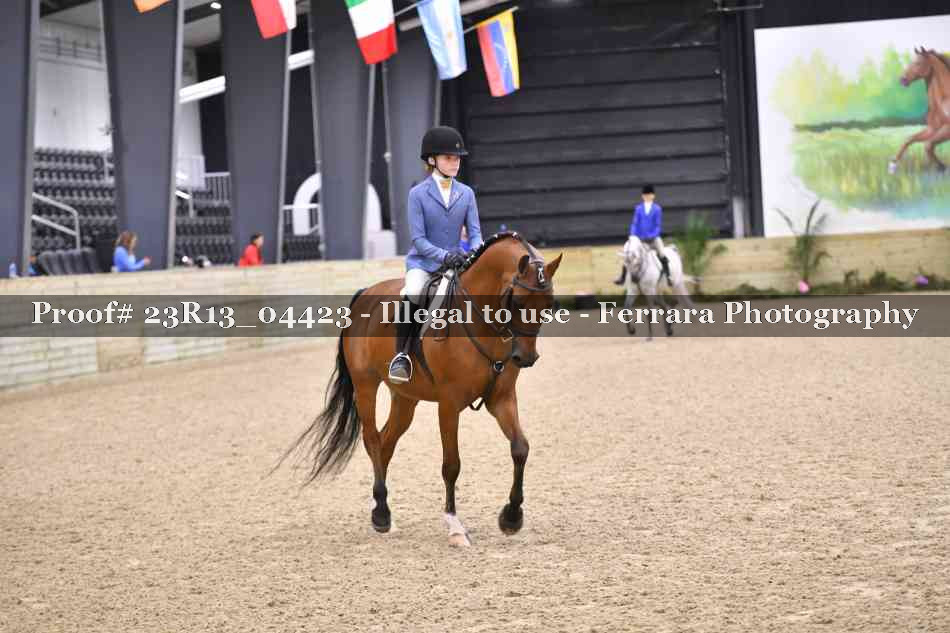 Proof 23R13_04423