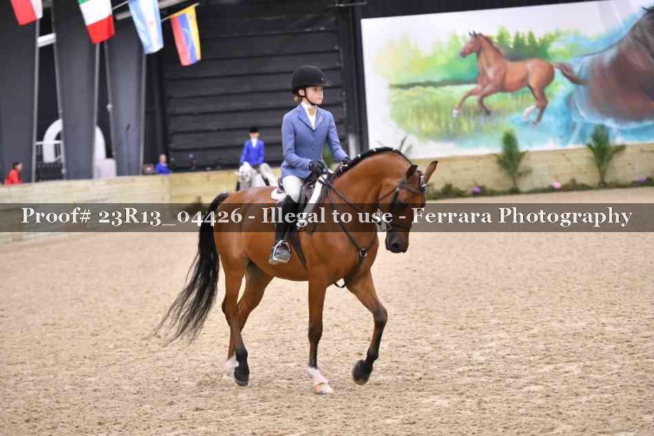Proof 23R13_04426