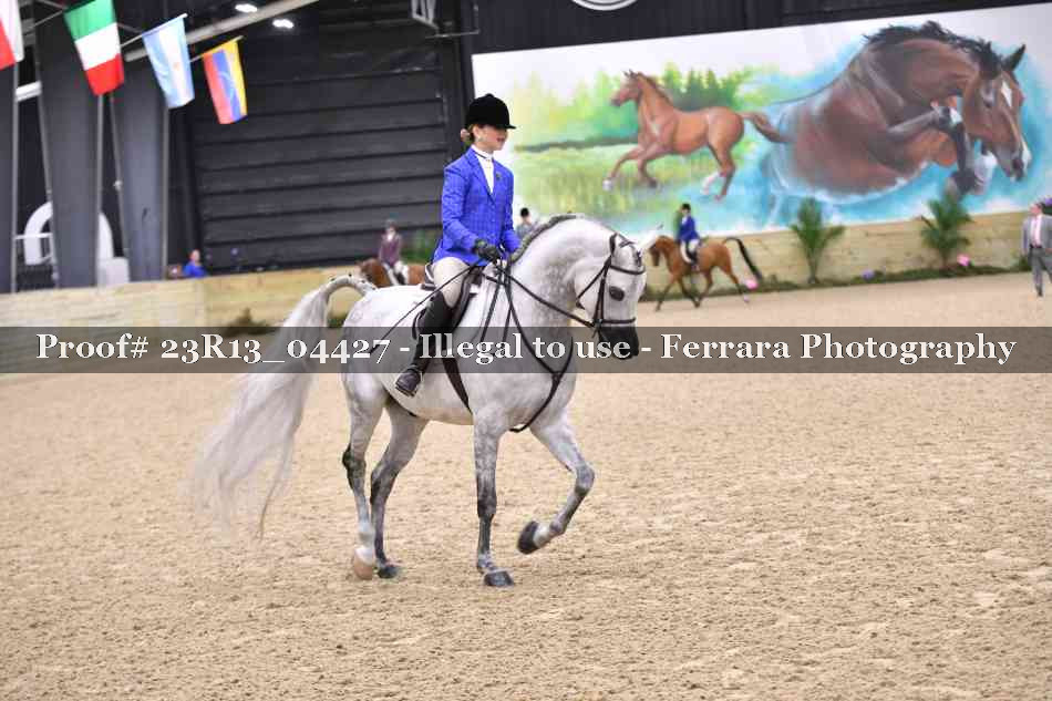 Proof 23R13_04427