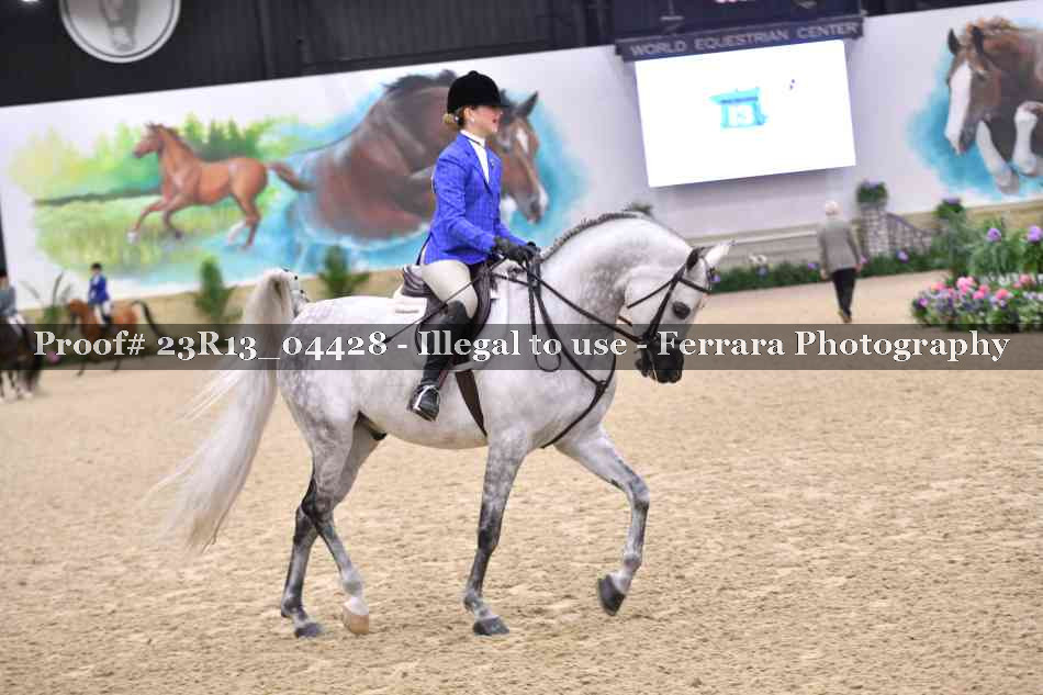 Proof 23R13_04428