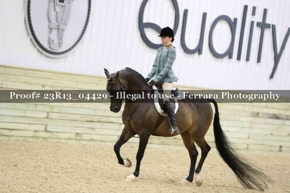 Proof 23R13_04429