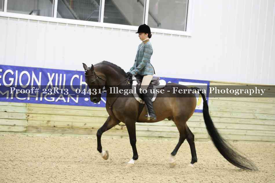 Proof 23R13_04431