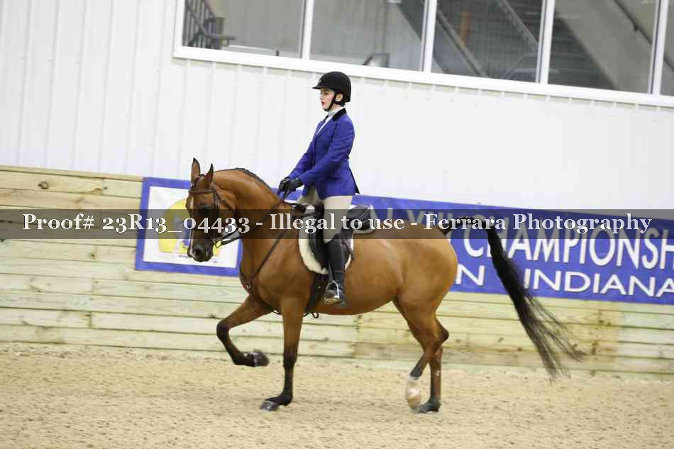 Proof 23R13_04433