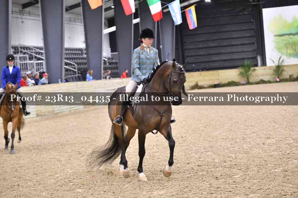Proof 23R13_04435