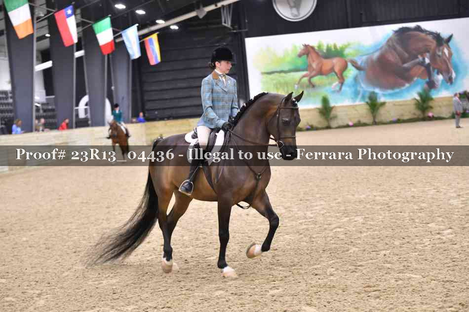Proof 23R13_04436