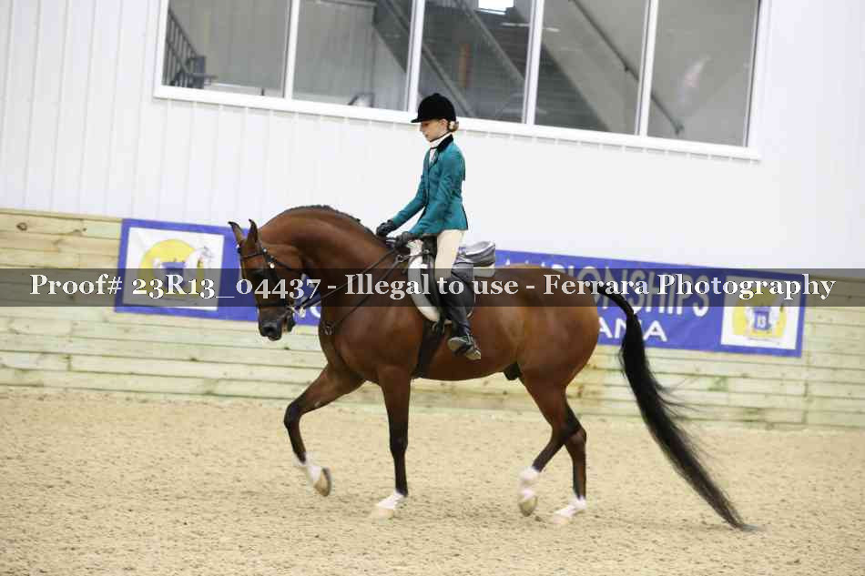 Proof 23R13_04437