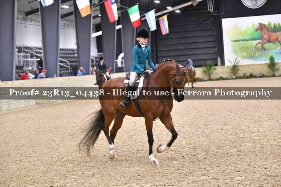 Proof 23R13_04438