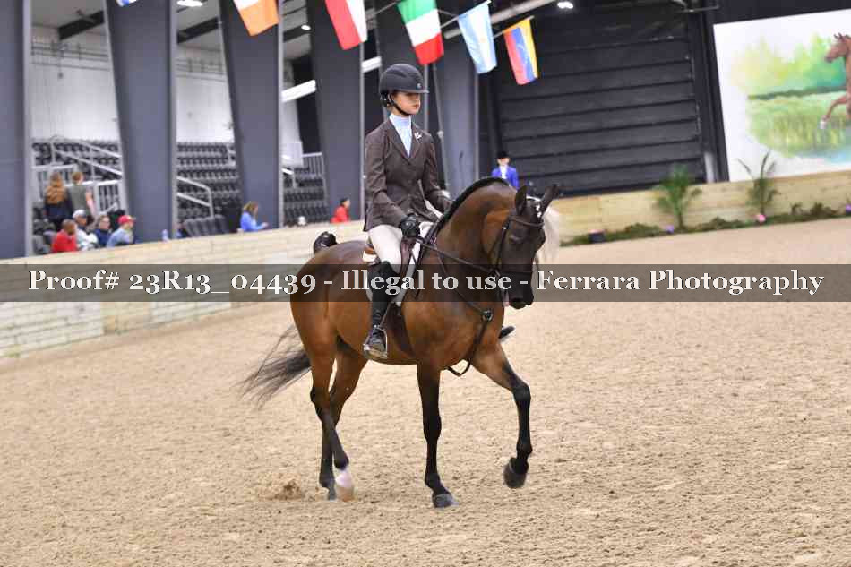 Proof 23R13_04439