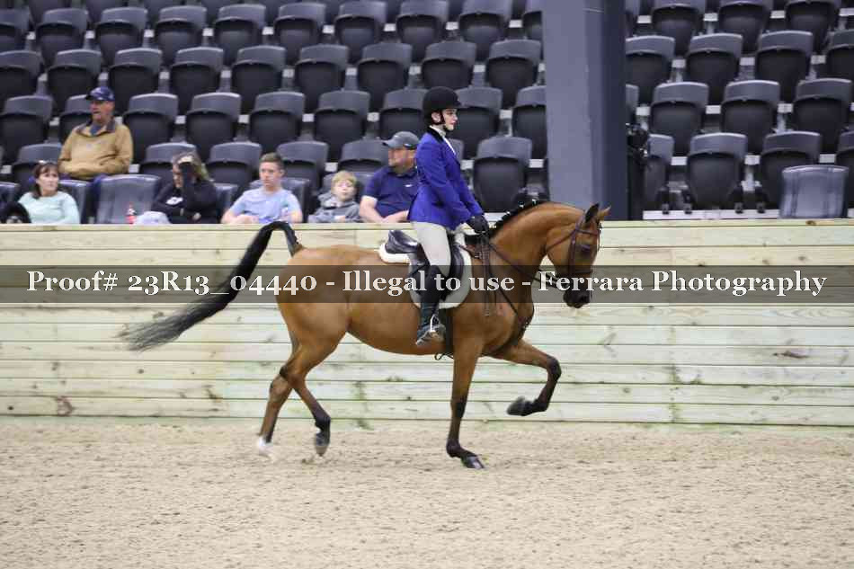 Proof 23R13_04440