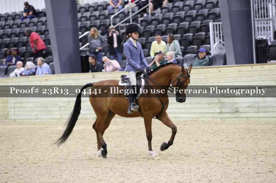Proof 23R13_04441
