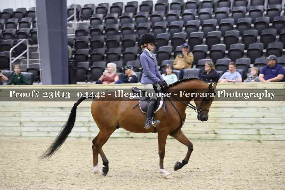 Proof 23R13_04442