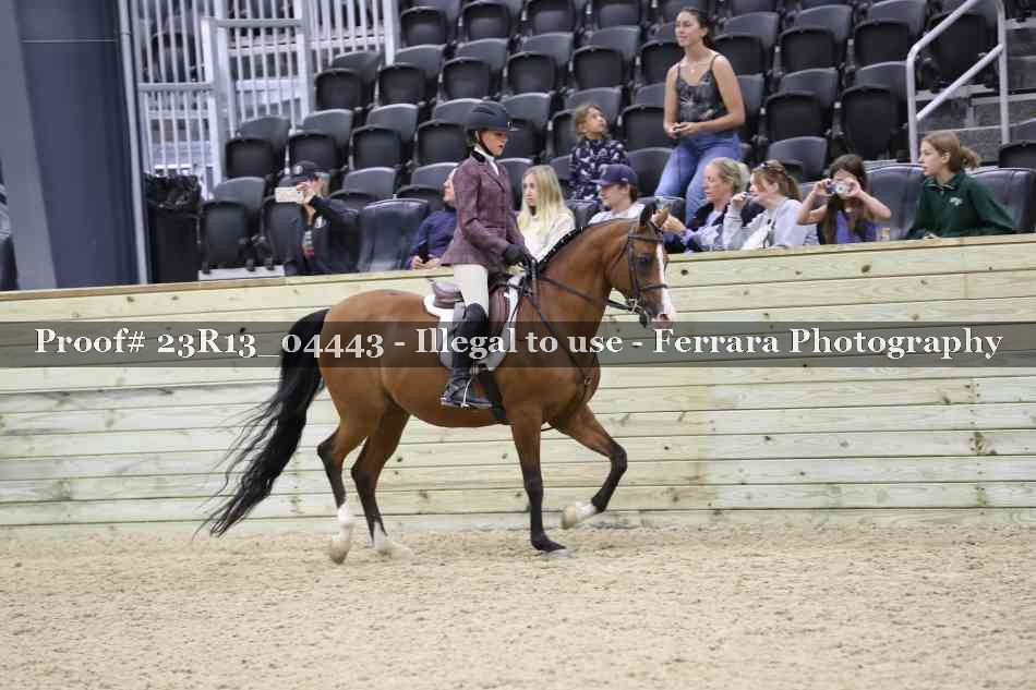 Proof 23R13_04443