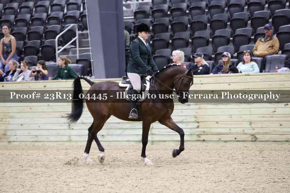 Proof 23R13_04445
