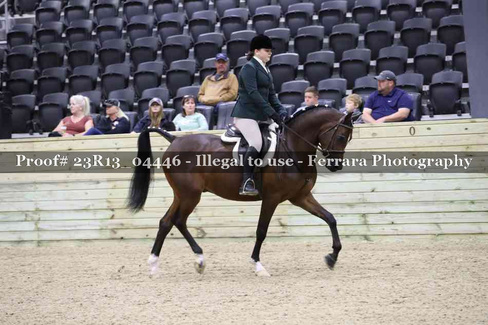 Proof 23R13_04446