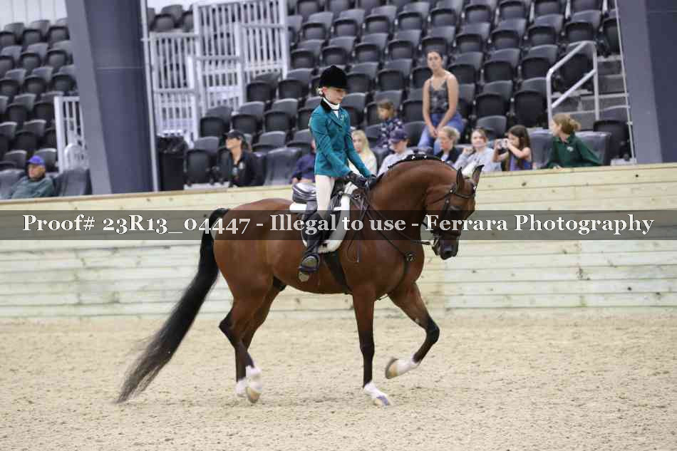 Proof 23R13_04447