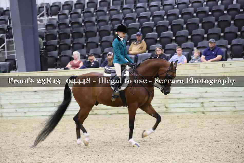 Proof 23R13_04448