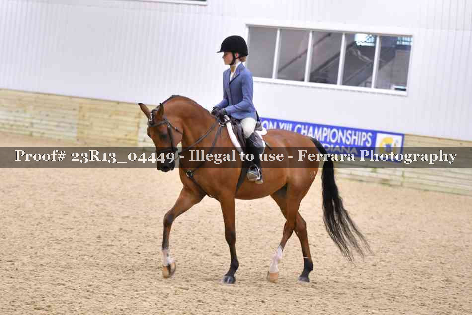 Proof 23R13_04449