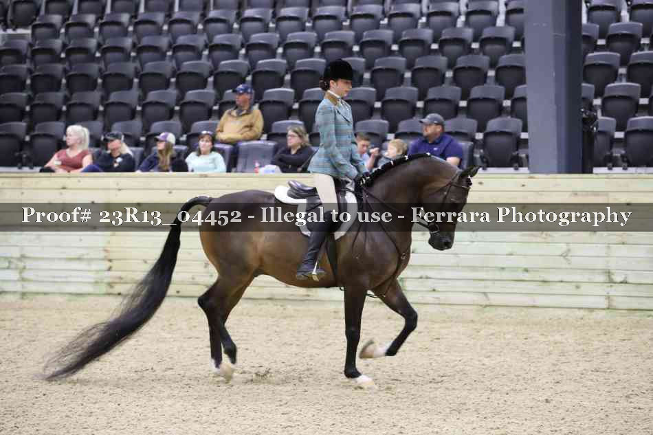 Proof 23R13_04452
