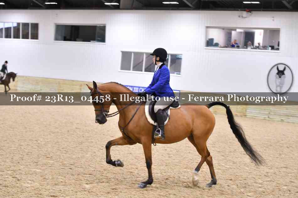 Proof 23R13_04458