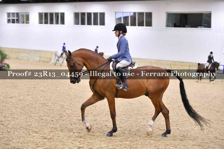 Proof 23R13_04459
