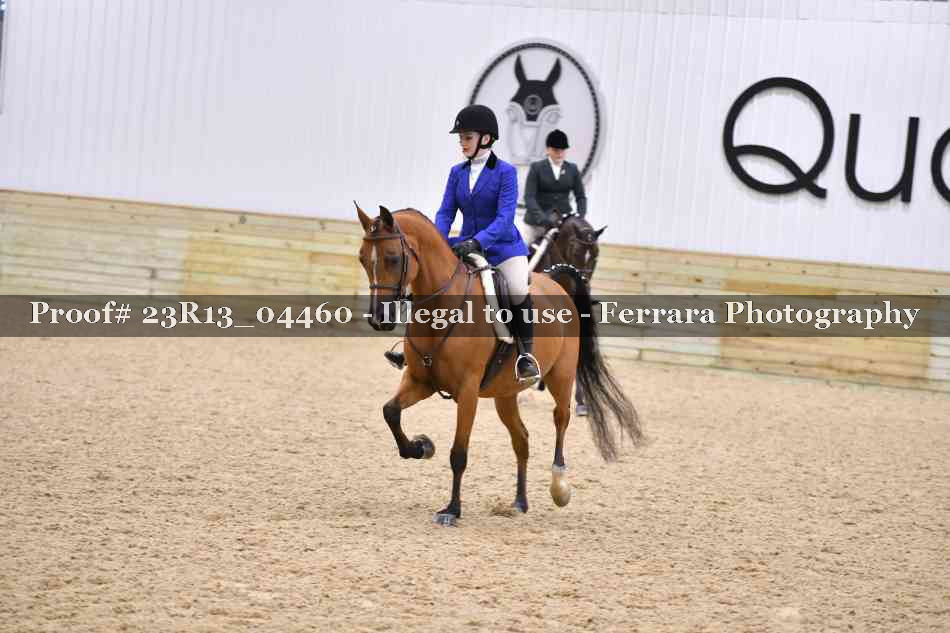 Proof 23R13_04460