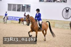 23R13_04461 proof