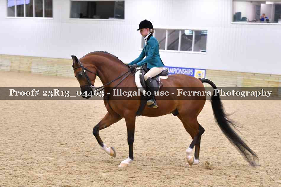Proof 23R13_04463