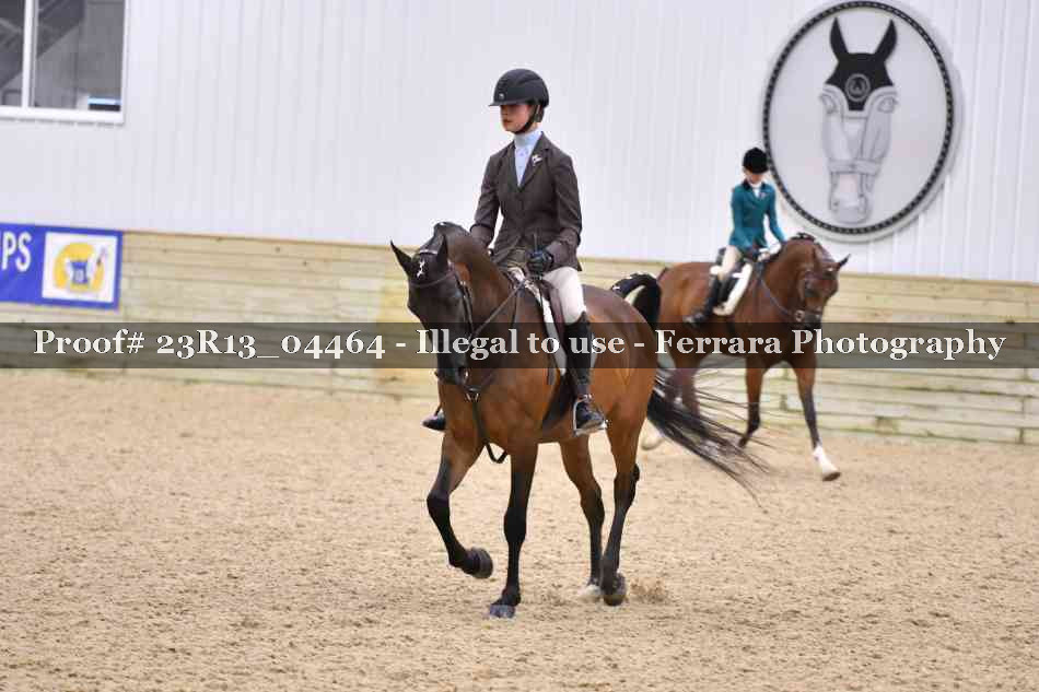 Proof 23R13_04464