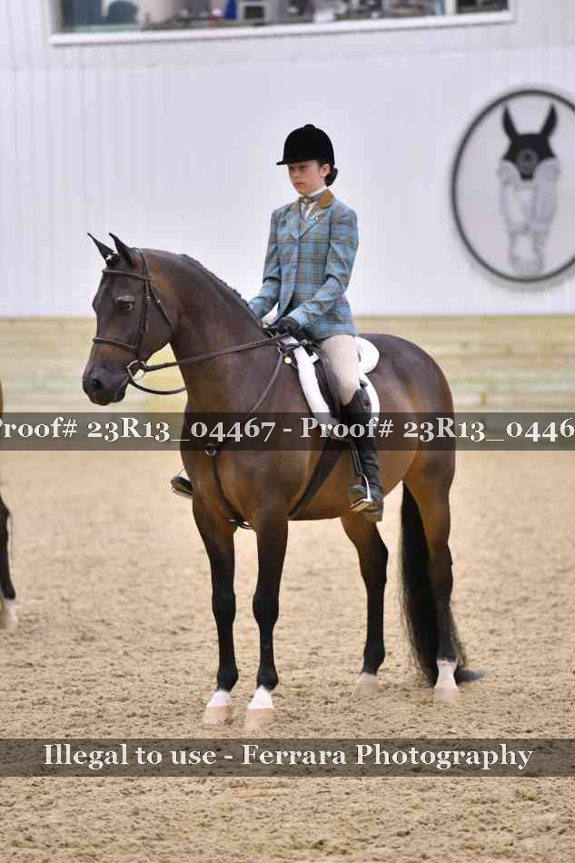 Proof 23R13_04467