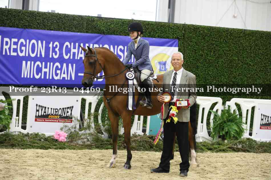 Proof 23R13_04469