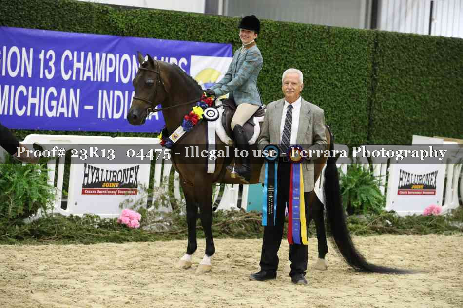 Proof 23R13_04475